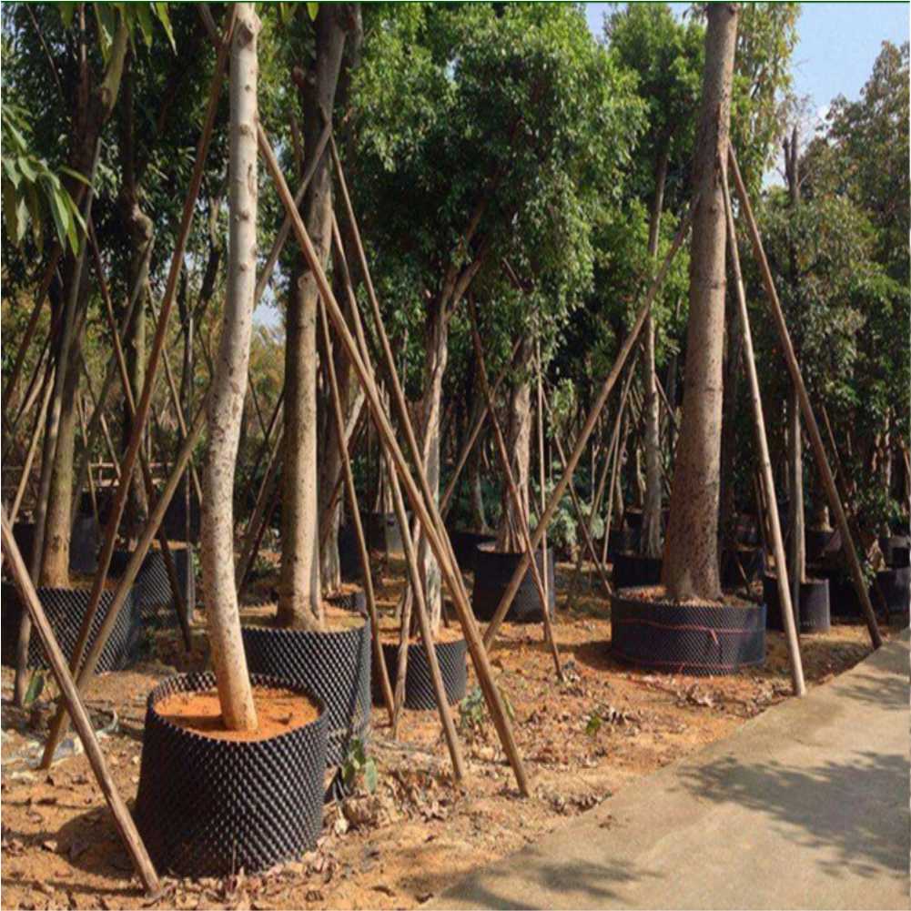 Grow Container Garden Tree Bon - Outdoor Furniture Set recension och pris